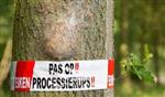 Verplaatsen wedstrijd zondagcompetitie