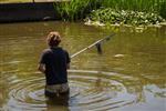 Massale vissterfte in Twente: ‘Probeer ze alsjeblieft niet zelf te redden’