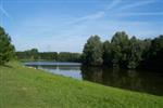 Vissterfte tuindorpvijver